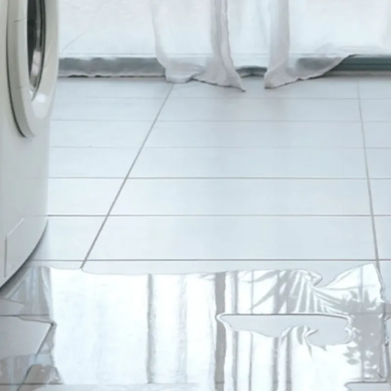 Appliance Leak Cleanup in Dunwoody, GA