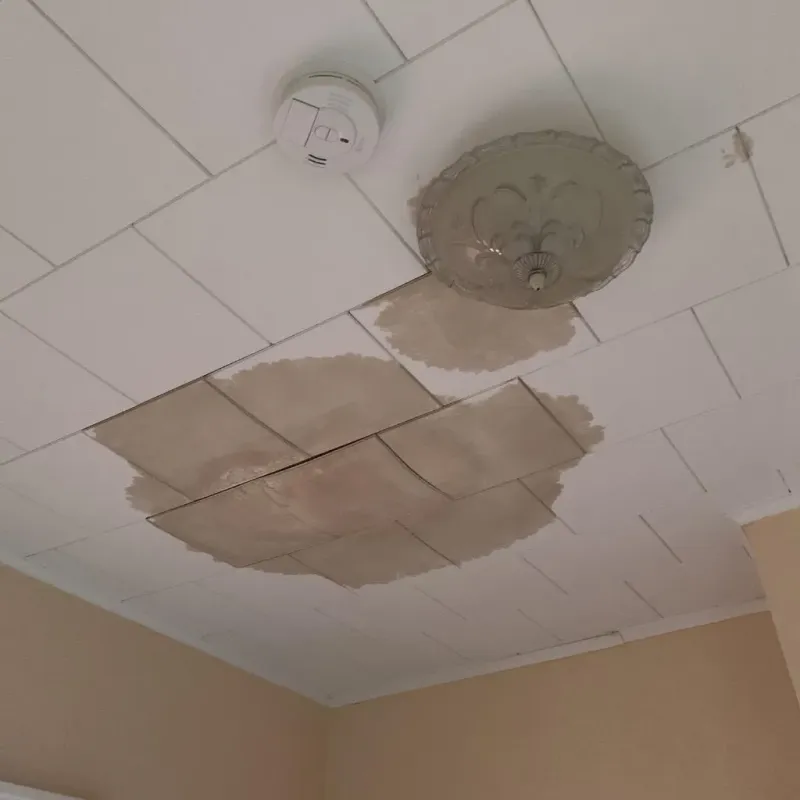 Ceiling Water Damage Repair in Dunwoody, GA
